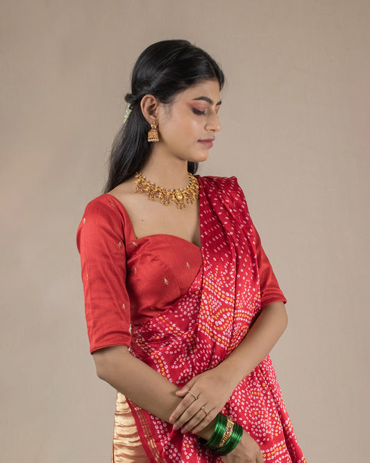 Raghvi Blouse