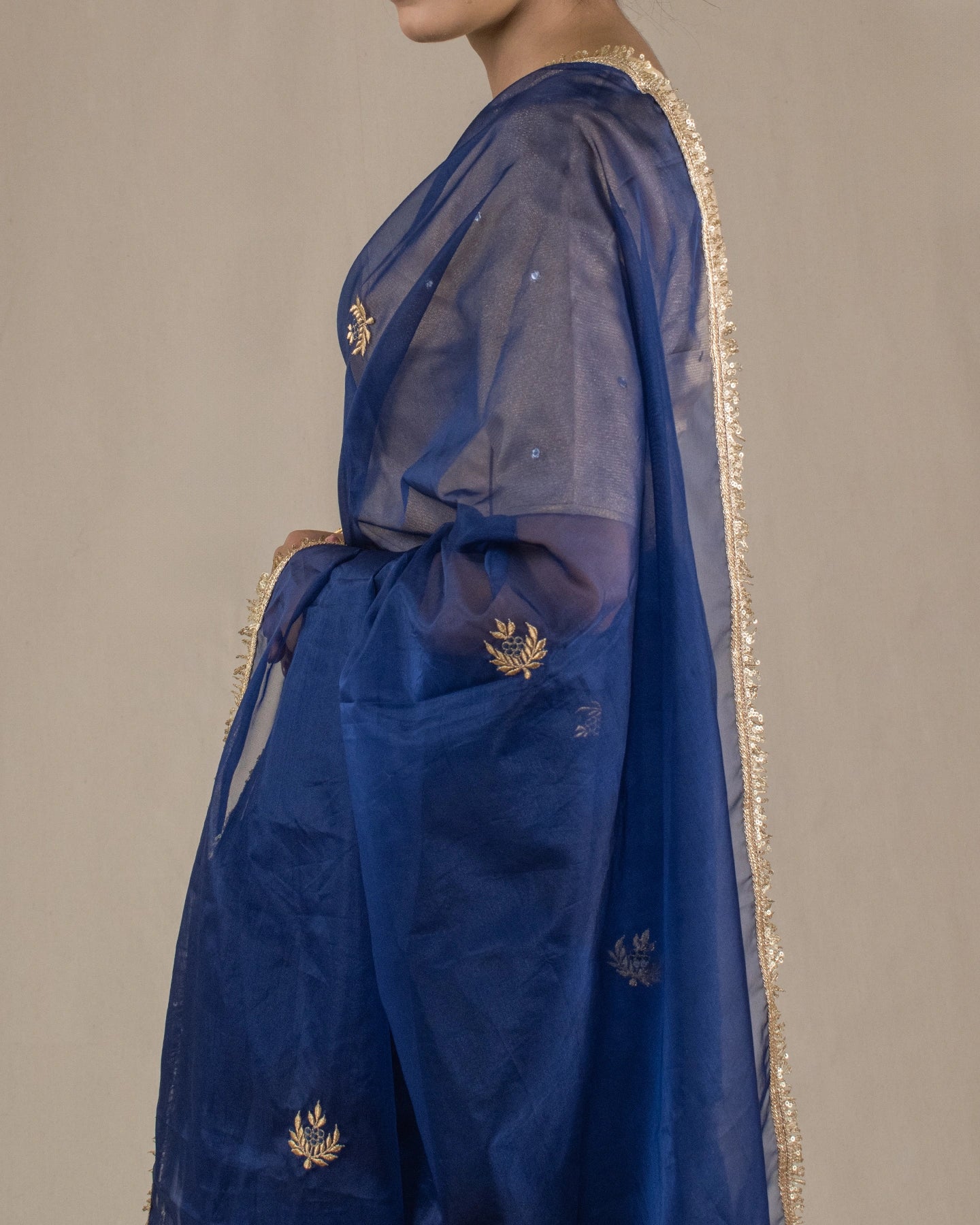 Mriganki Saree