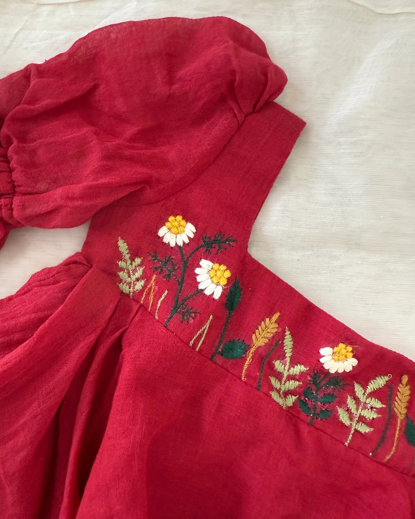 Paint It Red Embroidered Dress
