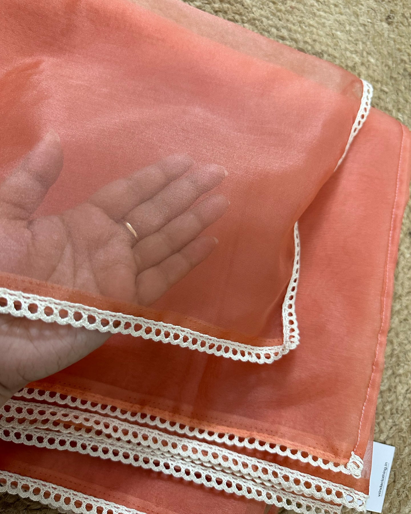Peach Sheer Saree