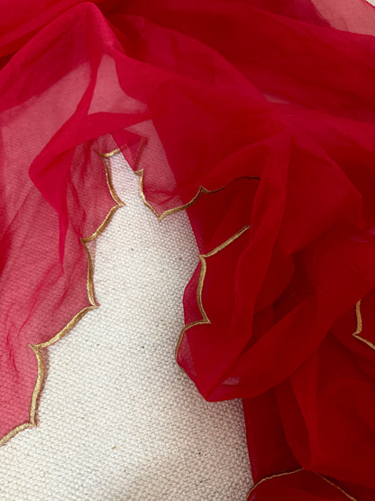 Minar Red Saree