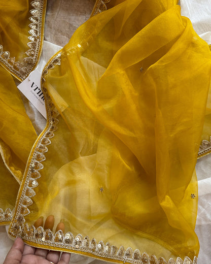 Swarnali Dupatta