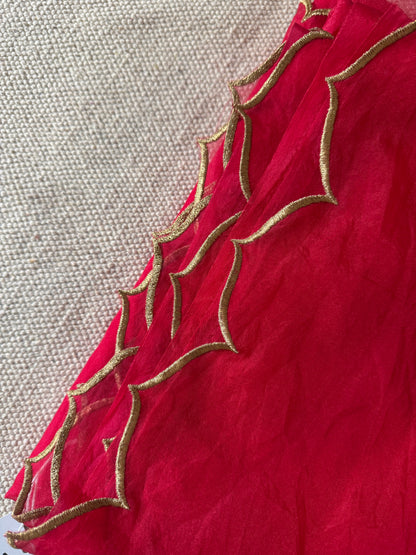 Minar Red Saree