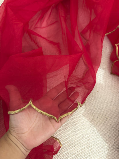 Minar Red Saree