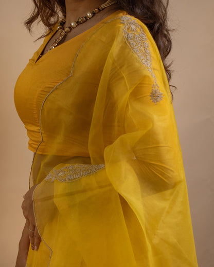 Abheri Lehenga Set