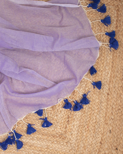 Blueberry Blast Saree