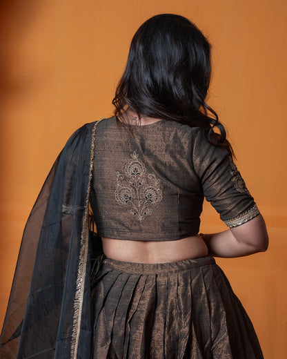 Chayanika Lehenga Set