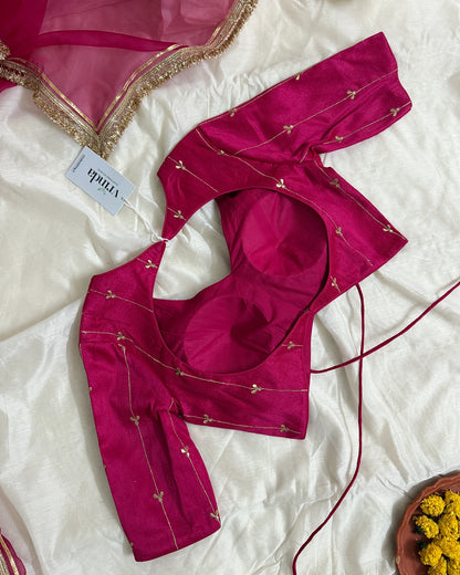 Divyani Rani Blouse