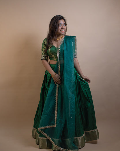 Harita Lehenga Set