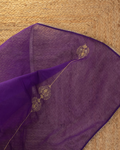 Molina Purple Saree