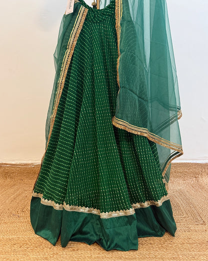 Priyanshi Hara Lehenga Set
