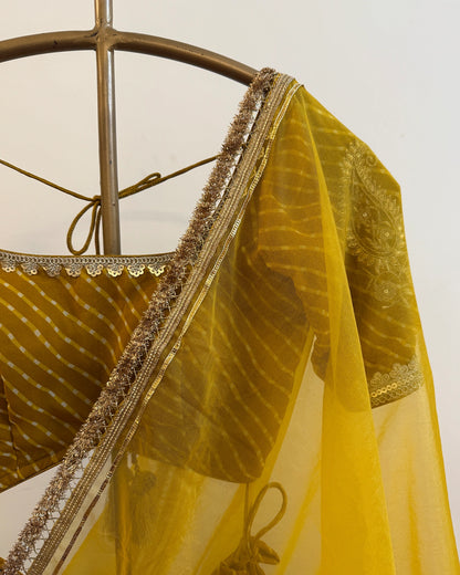 Priyanshi Lehenga Set