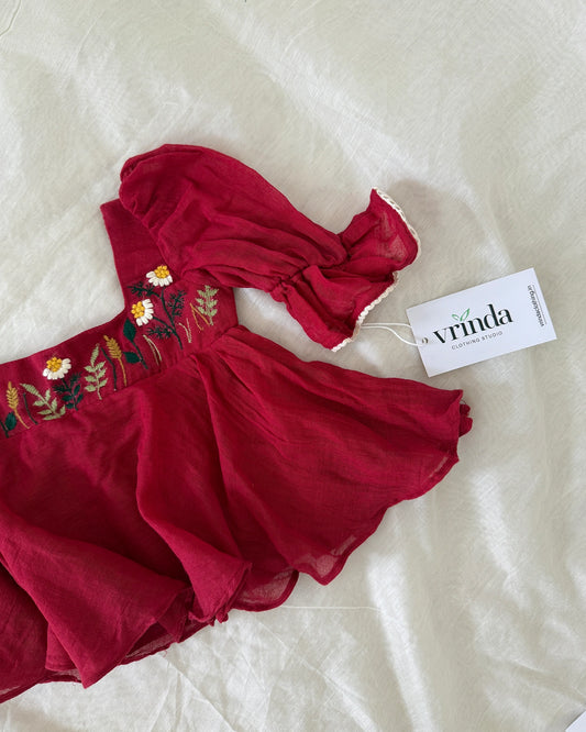 Paint It Red Embroidered Dress