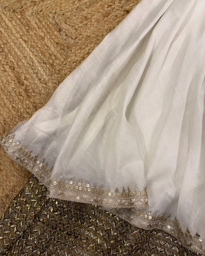 Sharwari Lehenga Set