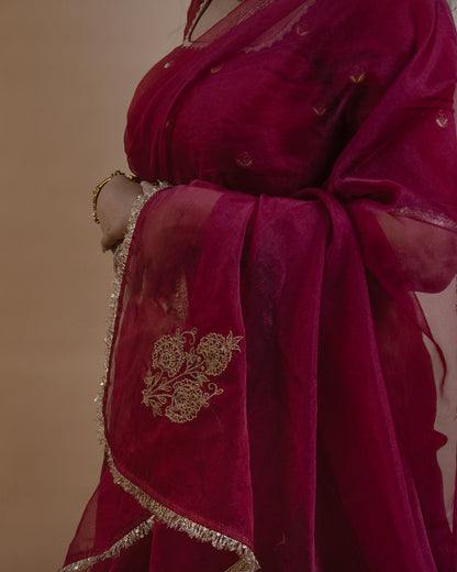 Vedangi Lehenga Set